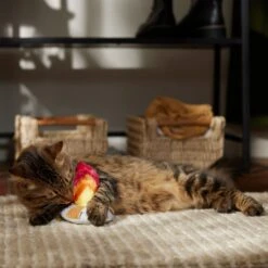 Frisco Fall Campfire Plush Cat Toy With Catnip 8 Frisco Fall Campfire Plush Cat Toy With Catnip -Pet Toys Store 344178 PT3. AC SS1800 V1659023182