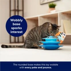 Frisco Fish In Ocean Wobble & Spin Cat Tracks Cat Toy With Catnip -Pet Toys Store 345926 PT3. AC SS1800 V1664288803
