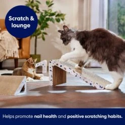 Frisco Nesting Cat Scratcher Toy With Catnip, Modern Terrazzo -Pet Toys Store 347213 PT3. AC SS1800 V1659699272