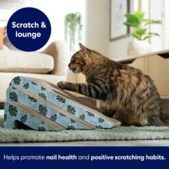 Frisco Nesting Cat Scratcher Toy With Catnip, Tropical Paradise -Pet Toys Store 347215 PT3. AC SS1800 V1659699261