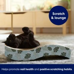 Frisco Wave Cat Scratcher Toy With Catnip, Tropical Paradise 8 Frisco Wave Cat Scratcher Toy With Catnip, Tropical Paradise -Pet Toys Store 347221 PT3. AC SS1800 V1659699263