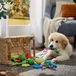 Frisco Small Breed Puppies Rope & TPR Variety Pack Puppy Toy -Pet Toys Store 358552 PT4. AC SS1800 V1669908588