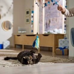 Frisco Hanukkah Interchangeable Teaser Wand Cat Toy With Catnip -Pet Toys Store 360911 PT3. AC SS1800 V1661890134