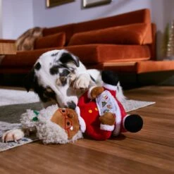 Frisco Holiday Mrs. Claus Plush Squeaky Dog Toy 9 Frisco Holiday Mrs. Claus Plush Squeaky Dog Toy -Pet Toys Store 360917 PT3. AC SS1800 V1661874360