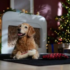 Frisco Holiday "Happy Pawlidays" Bone Plush Squeaky Dog Toy, Medium, 2 Count -Pet Toys Store 360942 PT3. AC SS1800 V1661874360