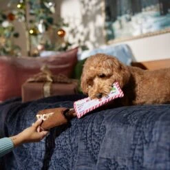 Frisco Holiday Home For The Holidays Airline Ticket Bungee Plush Squeaky Dog Toy 11 Frisco Holiday Home For The Holidays Airline Ticket Bungee Plush Squeaky Dog Toy -Pet Toys Store 360966 PT3. AC SS1800 V1661874362