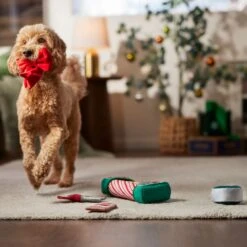 Frisco Holiday Gift Wrapping Set Plush Squeaky Dog Toy -Pet Toys Store 360968 PT3. AC SS1800 V1661874420