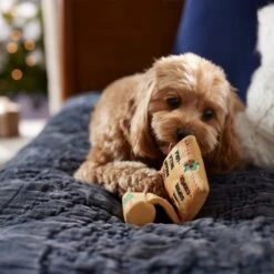 Frisco Holiday Santa's List Plush & TPR Inside Dog Toy -Pet Toys Store 360970 PT3. AC SS1800 V1661874421