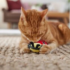 Frisco Valentine Jammin' Ladybug Plush Cat Toy With Catnip -Pet Toys Store 371081 PT3. AC SS1800 V1668736252