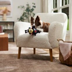 Frisco Valentine Jammin' Ladybug Plush Squeaky Dog Toy 10 Frisco Valentine Jammin' Ladybug Plush Squeaky Dog Toy -Pet Toys Store 371083 PT3. AC SS1800 V1668737455