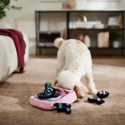 Frisco Valentine Love Song Record Player Hide & Seek Puzzle Plush Squeaky Dog Toy 10 Frisco Valentine Love Song Record Player Hide & Seek Puzzle Plush Squeaky Dog Toy -Pet Toys Store 371087 PT3. AC SS1800 V1668737233