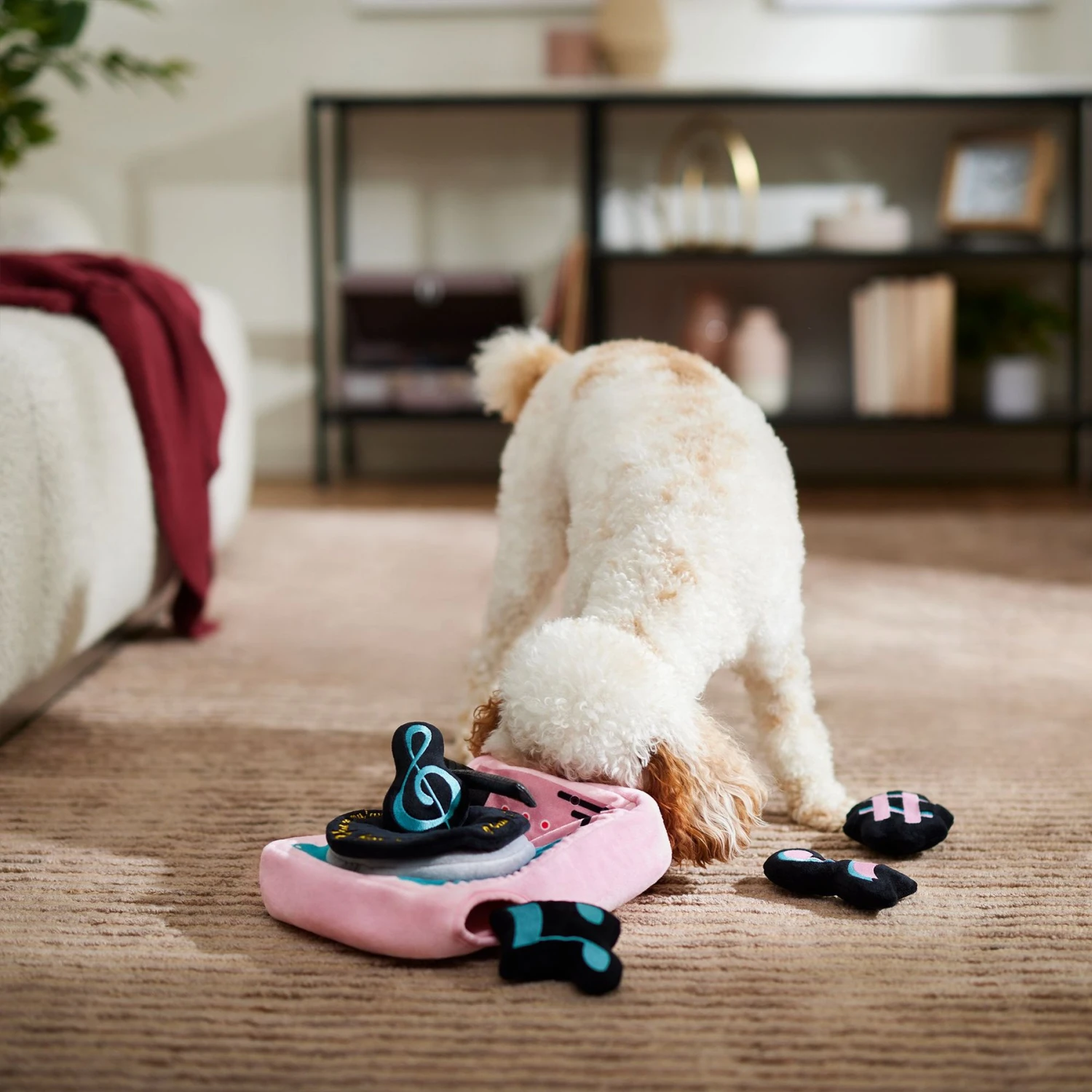 Frisco Valentine Love Song Record Player Hide & Seek Puzzle Plush Squeaky Dog Toy 6 Frisco Valentine Love Song Record Player Hide & Seek Puzzle Plush Squeaky Dog Toy - Image 4