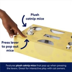 Frisco Cheese Interactive Maze Cardboard Cat Toy Box With Catnip -Pet Toys Store 506106 PT3. AC SS1800 V1671551754