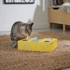 Frisco Cheese Interactive Maze Cardboard Cat Toy Box With Catnip -Pet Toys Store 506106 PT4. AC SS1800 V1669148185