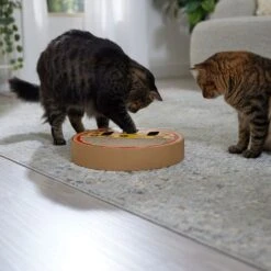 Frisco Interactive Maze & Scratch Cardboard Cat Toy With Catnip, Pizza -Pet Toys Store 506154 PT4. AC SS1800 V1669148129