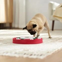 Frisco Bento Interactive Puzzle Dog Toy, Moderate -Pet Toys Store 506226 PT5. AC SS1800 V1674664929