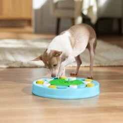 Frisco Seek & Discover Interactive Puzzle Dog Toy, Moderate -Pet Toys Store 506250 PT5. AC SS1800 V1674664929