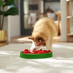 Frisco Watermelon Interactive Puzzle Dog Toy, Advanced -Pet Toys Store 506322 PT5. AC SS1800 V1674667034