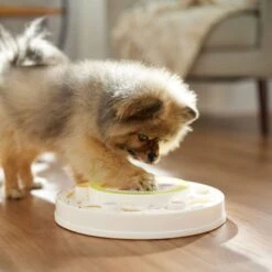 Frisco Tiered Cake Interactive Puzzle Dog Toy, Easy -Pet Toys Store 506346 PT5. AC SS1800 V1674666566