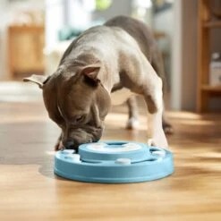 Frisco Two Tier Interactive Puzzle Dog Toy, Easy -Pet Toys Store 506370 PT5. AC SS1800 V1674671566