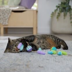 Frisco Fabric & Play Plastic Balls Cat Toy -Pet Toys Store 526030 PT3. AC SS1800 V1669148132