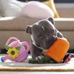 Frisco Spring Potted Plant And Watering Can Plush Squeaky Dog Toy -Pet Toys Store 541494 PT4. AC SS1800 V1702500565