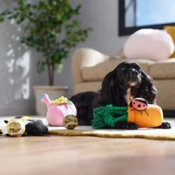 Frisco Spring Plush & Rope Variety Pack Squeaky Dog Toy 10 Frisco Spring Plush & Rope Variety Pack Squeaky Dog Toy -Pet Toys Store 541526 PT4. AC SS1800 V1702500565