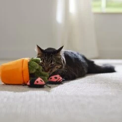 Frisco Spring Potted Plant And Ladybugs Interactive Plush Cat Toy With Catnip -Pet Toys Store 541542 PT3. AC SS1800 V1671814448