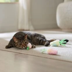 Frisco Easter Carrot Plush Cat Toy With Catnip -Pet Toys Store 550470 PT4. AC SS1800 V1702500564