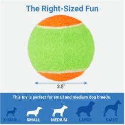 Frisco Dumbbell TPR Fetch Dog Toy + 3 Items -Pet Toys Store 582446 PT6. AC SS1800 V1658238980