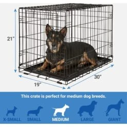 Frisco Fold & Carry Single Door Collapsible Wire Dog Crate + 4 Items -Pet Toys Store 623718 PT2. AC SS1800 V1662739258