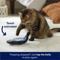 Frisco Interactive Flopping Fish Electronic Cat Toy With Catnip -Pet Toys Store 632798 PT4. AC SS1800 V1679513800