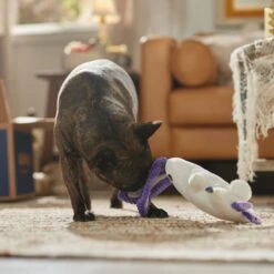 Frisco Halloween Bunny Ghost Plush Squeaky Dog Toy -Pet Toys Store 667878 PT3. AC SS1800 V1689340856