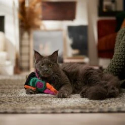 Frisco Halloween Frog In Witch Hat Plush Kicker Cat Toy With Catnip 8 Frisco Halloween Frog In Witch Hat Plush Kicker Cat Toy With Catnip -Pet Toys Store 667942 PT3. AC SS1800 V1689355019