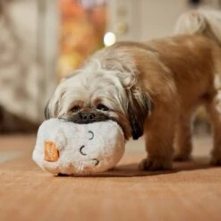 Frisco Halloween Trick Or Treat Ghost Plush Squeaky Dog Toy -Pet Toys Store 667974 PT3. AC SS1800 V1689350978