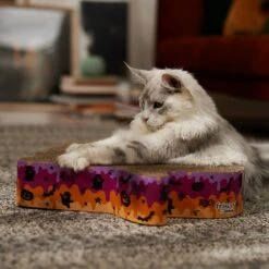 Frisco Halloween Ghost Swirl Scratcher Cat Toy With Catnip -Pet Toys Store 668230 PT3. AC SS1800 V1689343997