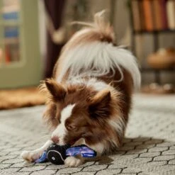 Frisco Halloween Bat Fetch Squeaky Tennis Ball Dog Toy 10 Frisco Halloween Bat Fetch Squeaky Tennis Ball Dog Toy -Pet Toys Store 668278 PT3. AC SS1800 V1689350166