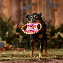 Frisco Halloween Ghost Swirl Fetch Flyer Dog Toy -Pet Toys Store 668294 PT3. AC SS1800 V1689278363