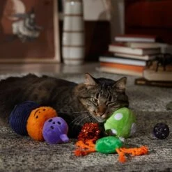 Frisco Halloween Mystical Variety Pack Plush & Balls Cat Toy With Catnip 8 Frisco Halloween Mystical Variety Pack Plush & Balls Cat Toy With Catnip -Pet Toys Store 668374 PT3. AC SS1800 V1689282492