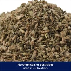 Frisco Natural Catnip & Hartz Just For Cats Mini Mice Cat Toy With Catnip, 5 Count -Pet Toys Store 737478 PT3. AC SS1800 V1683212198