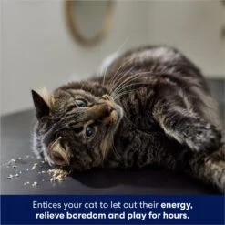 Frisco Natural Catnip & Hartz Just For Cats Mini Mice Cat Toy With Catnip, 5 Count -Pet Toys Store 737478 PT4. AC SS1800 V1683212204