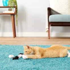 Frisco Natural Catnip & Hartz Just For Cats Mini Mice Cat Toy With Catnip, 5 Count -Pet Toys Store 737478 PT8. AC SS1800 V1683212080