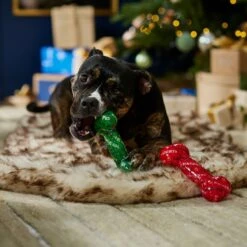 Frisco Holiday Naughty & Nice TPR Bone Squeaky Dog Toy -Pet Toys Store 739702 PT3. AC SS1800 V1694812786