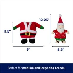 Frisco Holiday Santa On Vacation 2-in-1 Plush Squeaky Dog Toy -Pet Toys Store 739894 PT1. AC SS1800 V1695046874