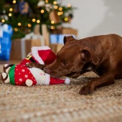 Frisco Holiday Santa On Vacation 2-in-1 Plush Squeaky Dog Toy -Pet Toys Store 739894 PT3. AC SS1800 V1695045718