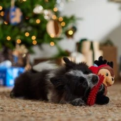 Frisco Holiday Reindeer Plush With TPR Ring Squeaky Puppy Toy -Pet Toys Store 739958 PT3. AC SS1800 V1695046549