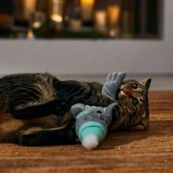 Frisco Holiday Interactive Flopping Seal Electronic Cat Toy With Catnip 12 Frisco Holiday Interactive Flopping Seal Electronic Cat Toy With Catnip -Pet Toys Store 740102 PT4. AC SS1800 V1695043876