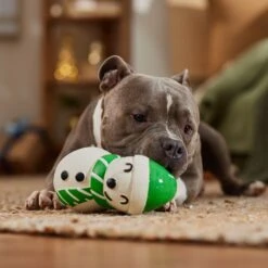 Frisco Holiday Snowman Latex Squeaky Dog Toy -Pet Toys Store 773870 PT3. AC SS1800 V1695044328