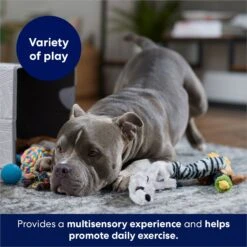 Frisco Forest Friends Plush, Rope & TPR Variety Pack Dog Toy -Pet Toys Store 843534 PT3. AC SS1800 V1693411070