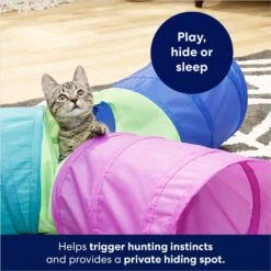 Frisco Foldable Play Tri-Tunnel Cat Toy & Frisco Butterfly Cat Tracks Cat Toy -Pet Toys Store 933438 PT4. AC SS1800 V1692305507